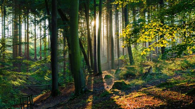 Der Naturpark Arnsberger Wald lädt zu ausgedehnten Wanderungen und Radtouren ein