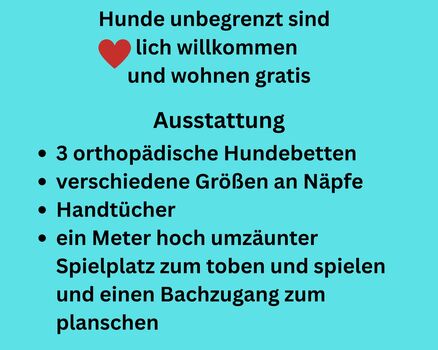 Hundeausstattung
