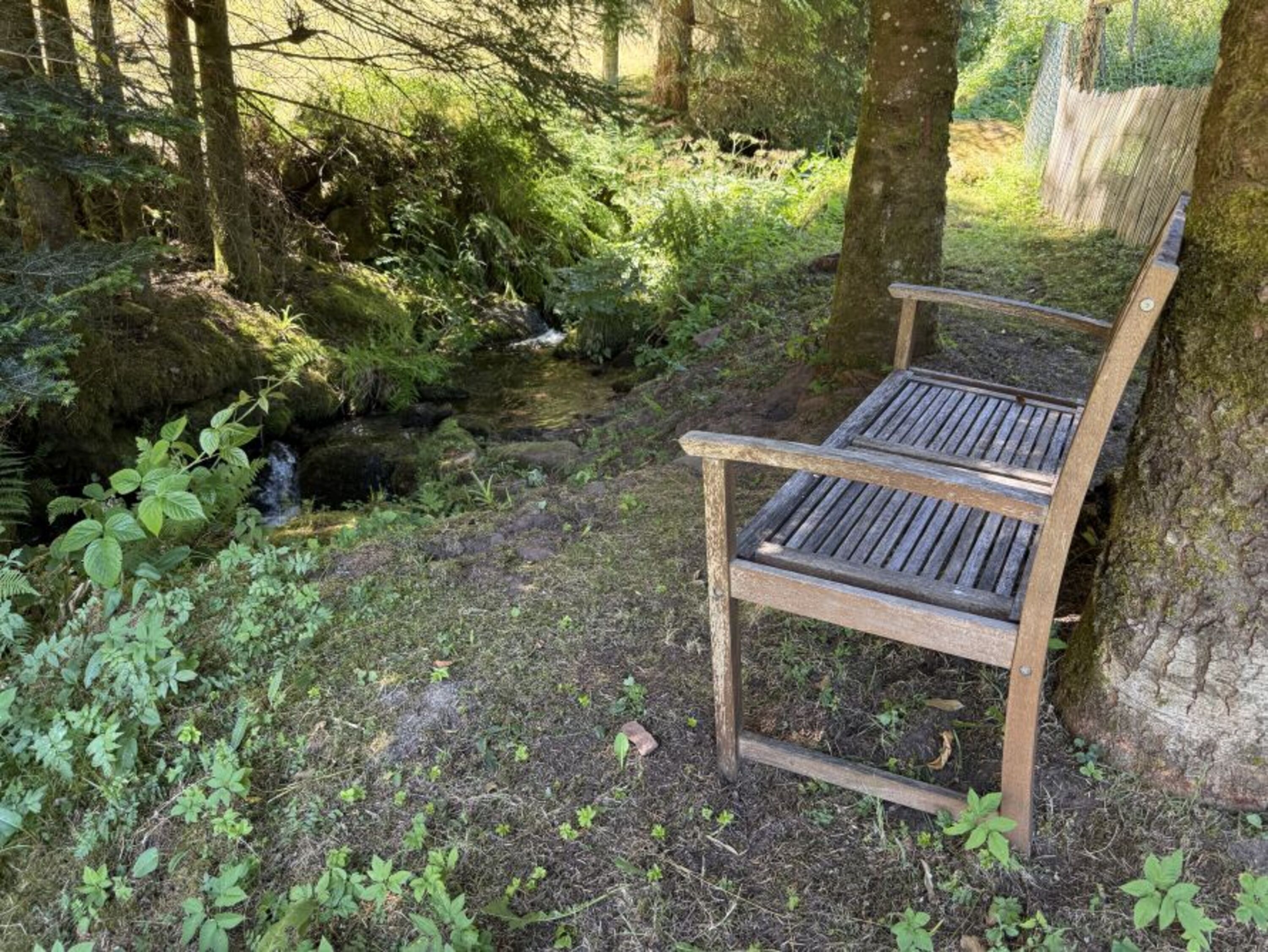 Lieblingsplatz am Bach