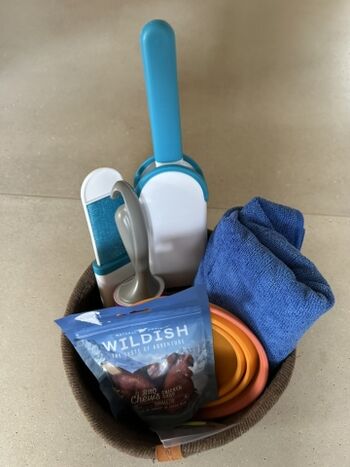 Ein Hundeset wartet auf Sie