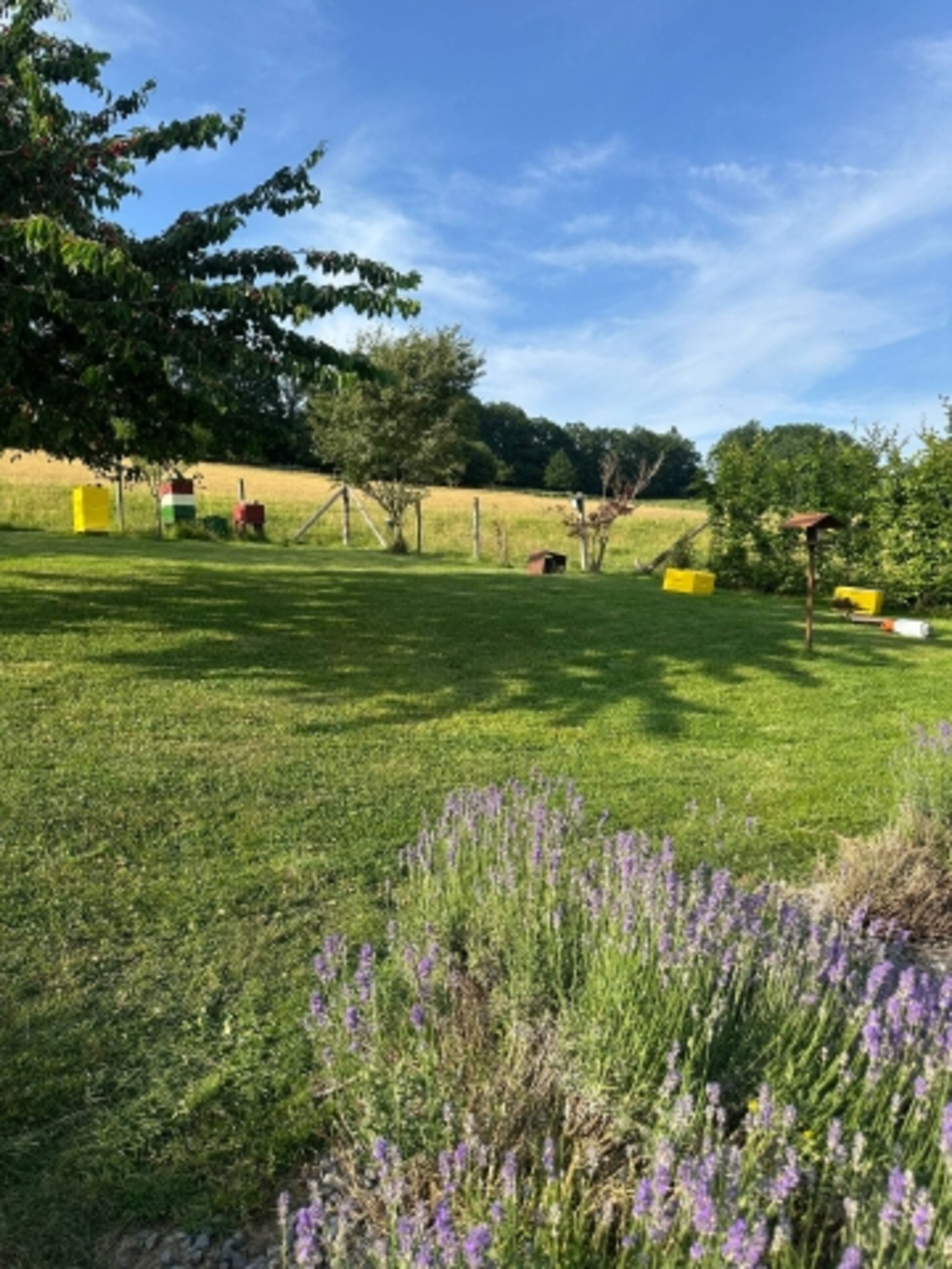 Bild 16