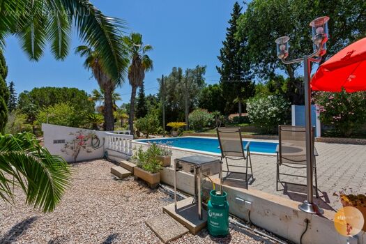 BBQ auf Holzkohle vorhanden