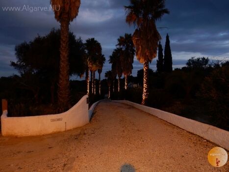 Beleuchtete Auffahrt zum Ferienhaus Vila Maria, flankiert von Palmen