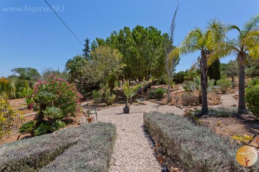 Großer Garten mit Wanderwegen und subtropischer Bepflanzung