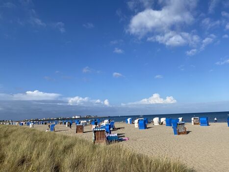 Weidenfelder Strand