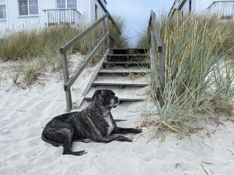 alle genießen Ihren Urlaub in vollen Zügen