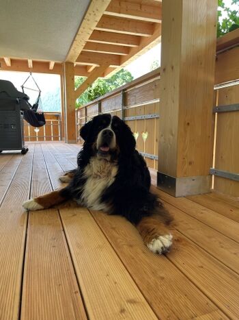 Platz ist definitiv vorhanden ;)