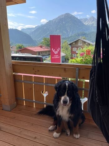 Ausblick in die Berge