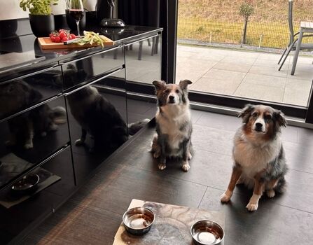 Fellnasen sind ebenfalls herzlich willkommen.