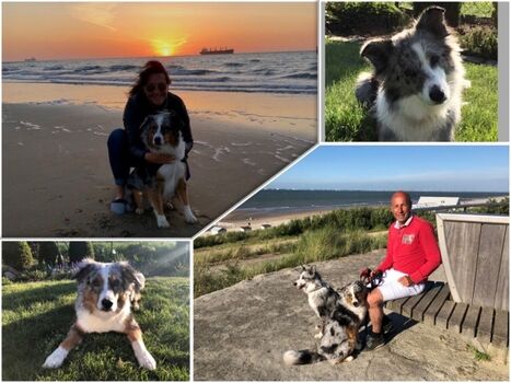 WIR sind IHRE Vermieter.