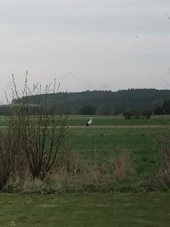 am Grundstück angrenzendes Wasserschutzgebiet