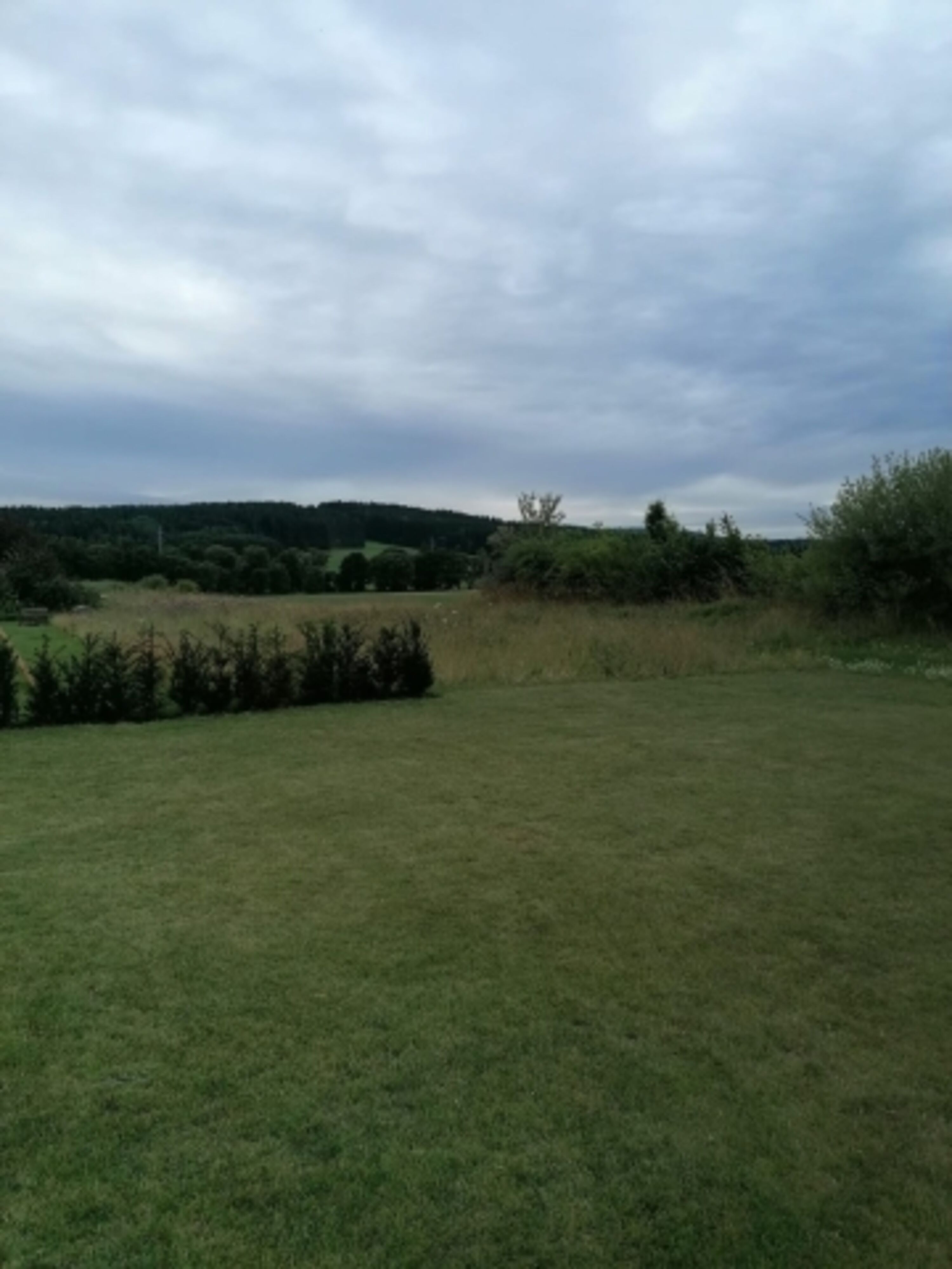 Blick vom Haus