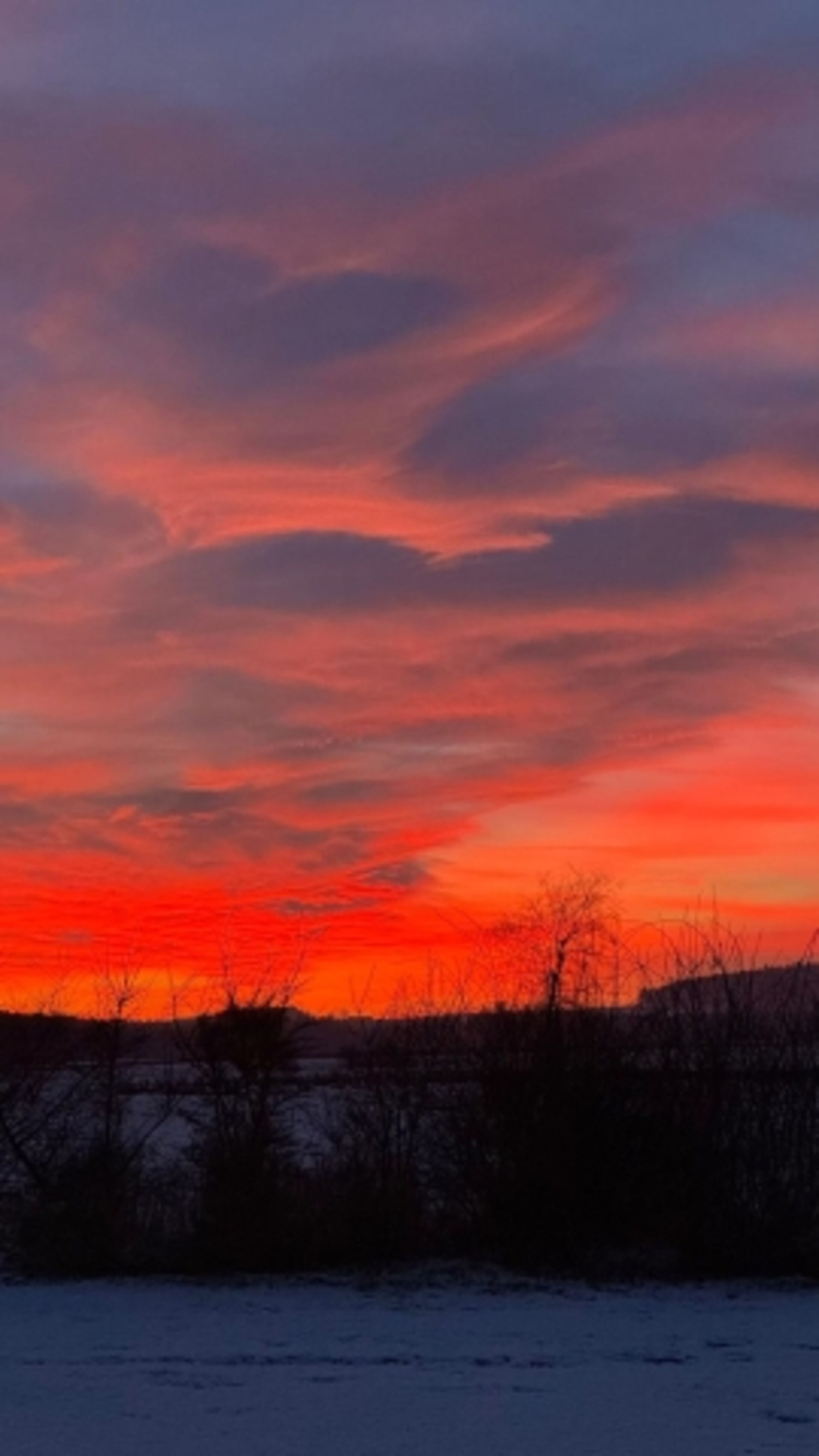 Sonnenuntergang am Grundstück