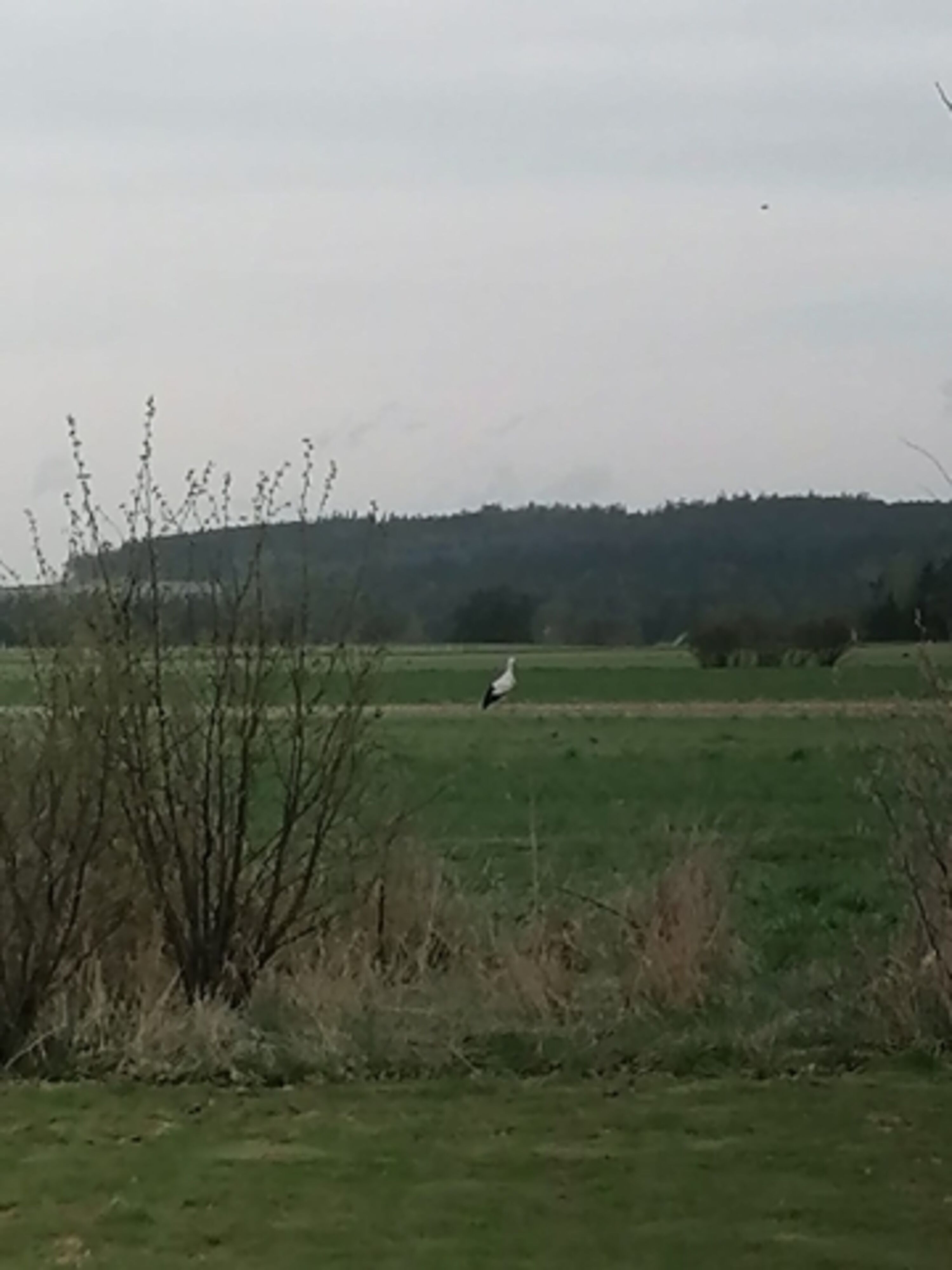 am Grundstück angrenzendes Wasserschutzgebiet