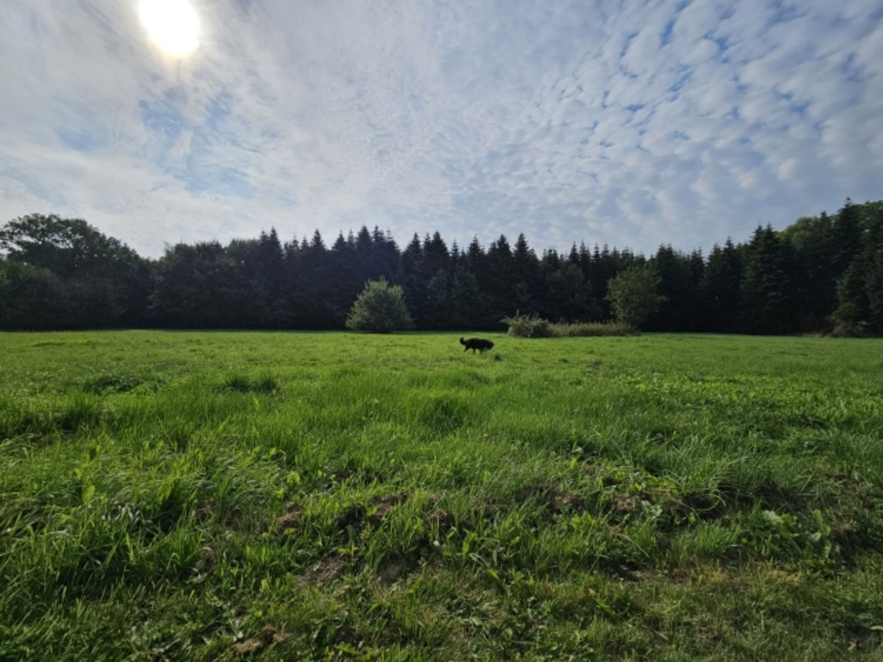 Grundstück