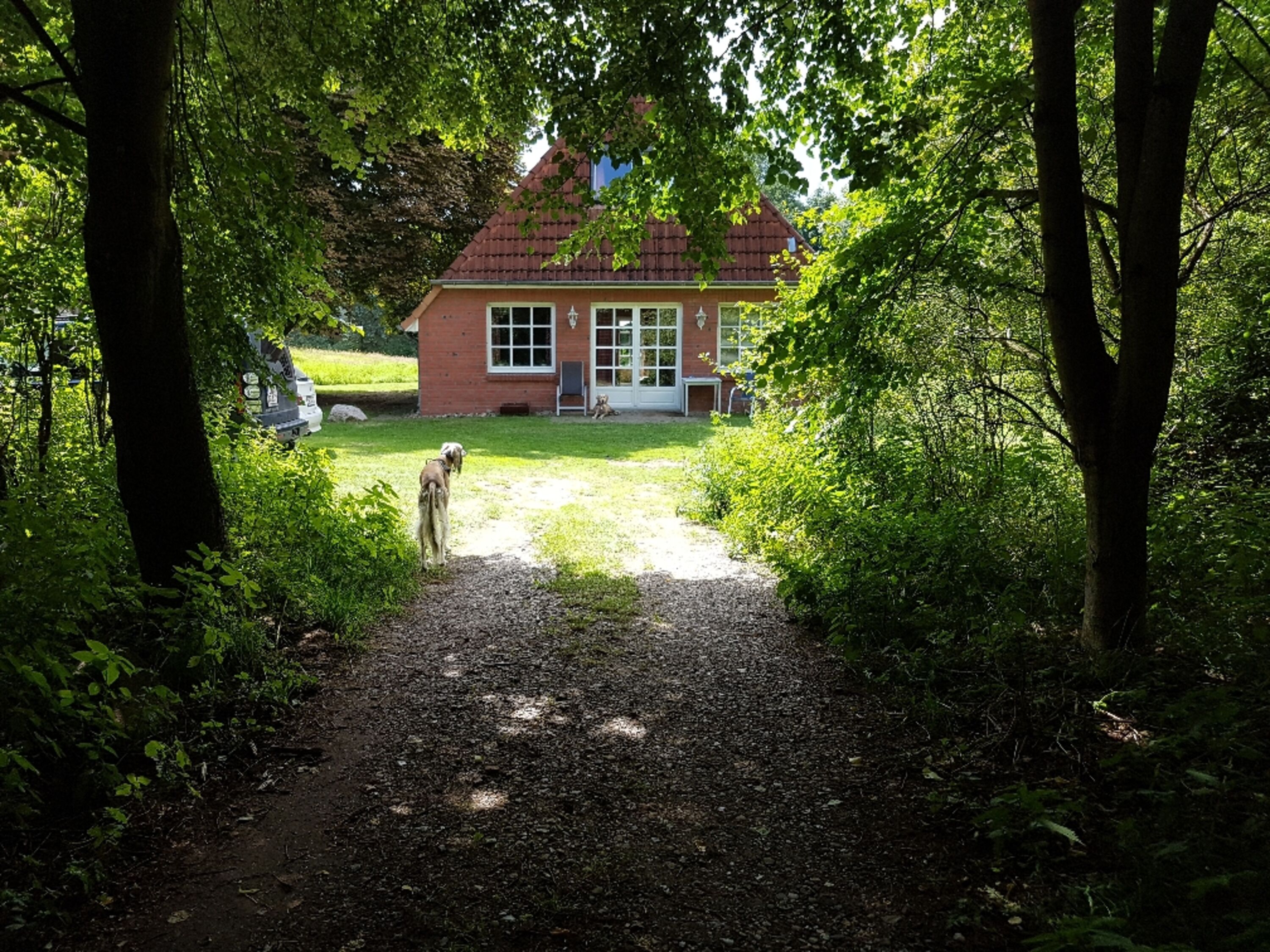 Bild 25
