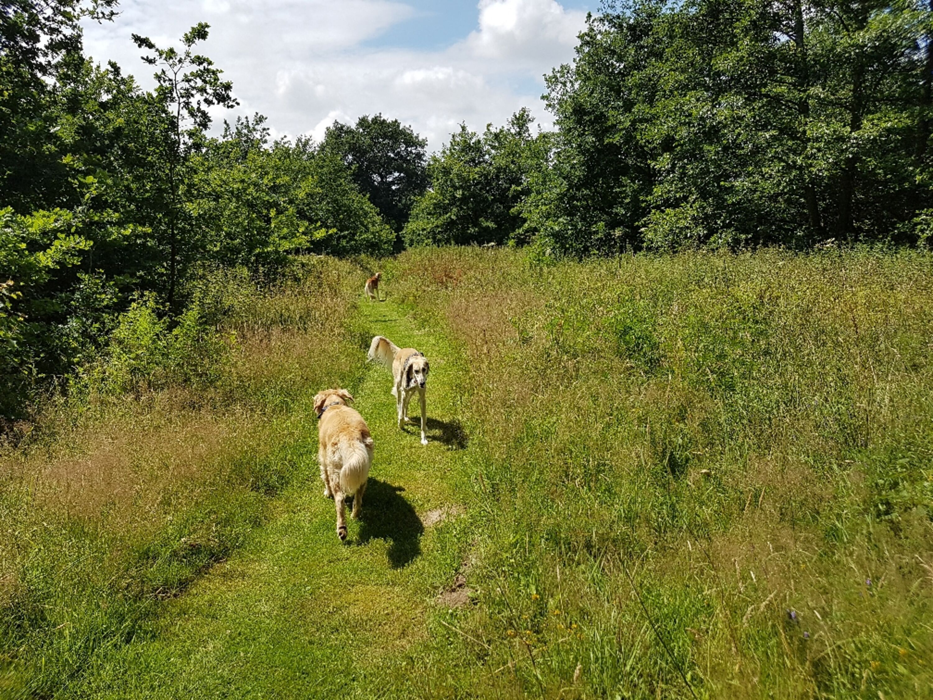 Bild 22