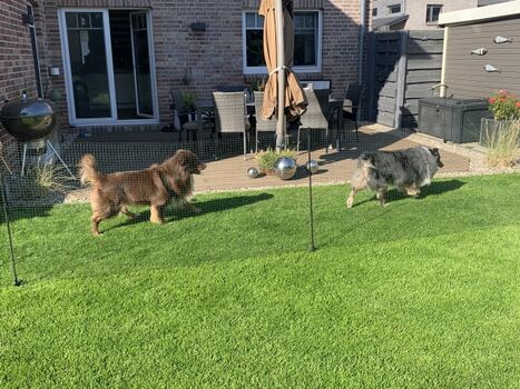 Wir bieten unseren Gästen einen mobilen Hundezaun für ihren Urlaub.