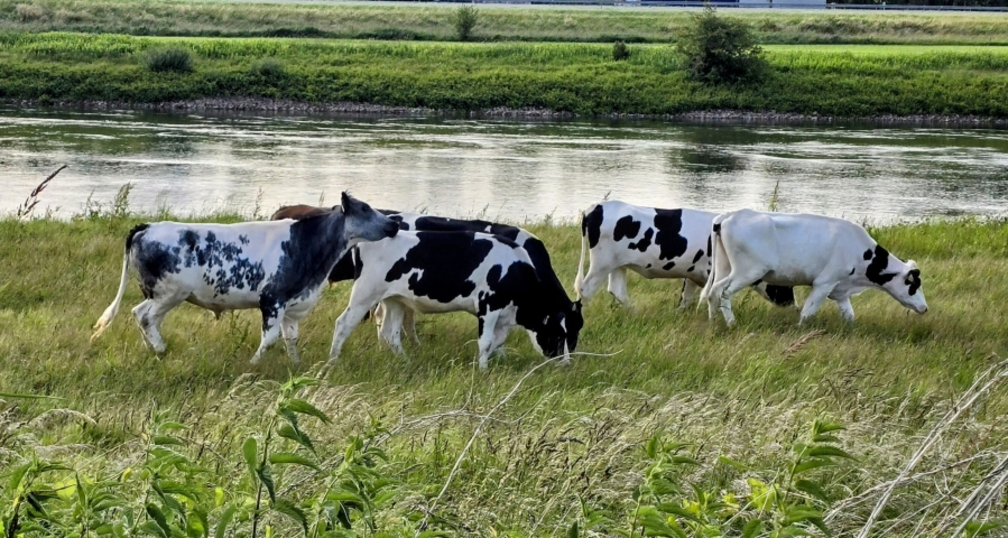 an der Ijssel