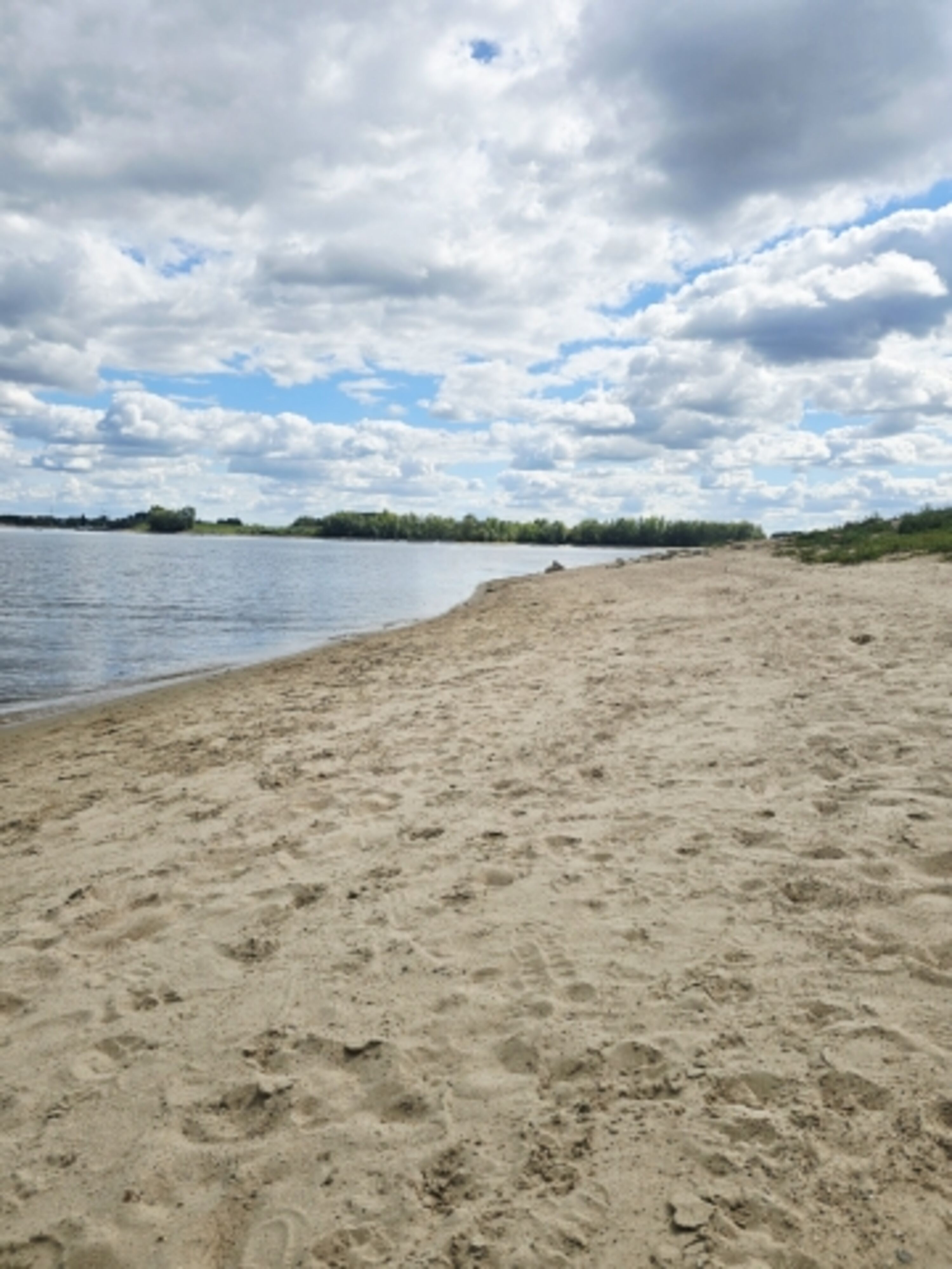 Hundestrand