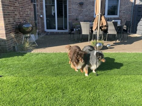 Wir bieten einen mobilen Hundezaun an. Fragen Sie gerne nach.