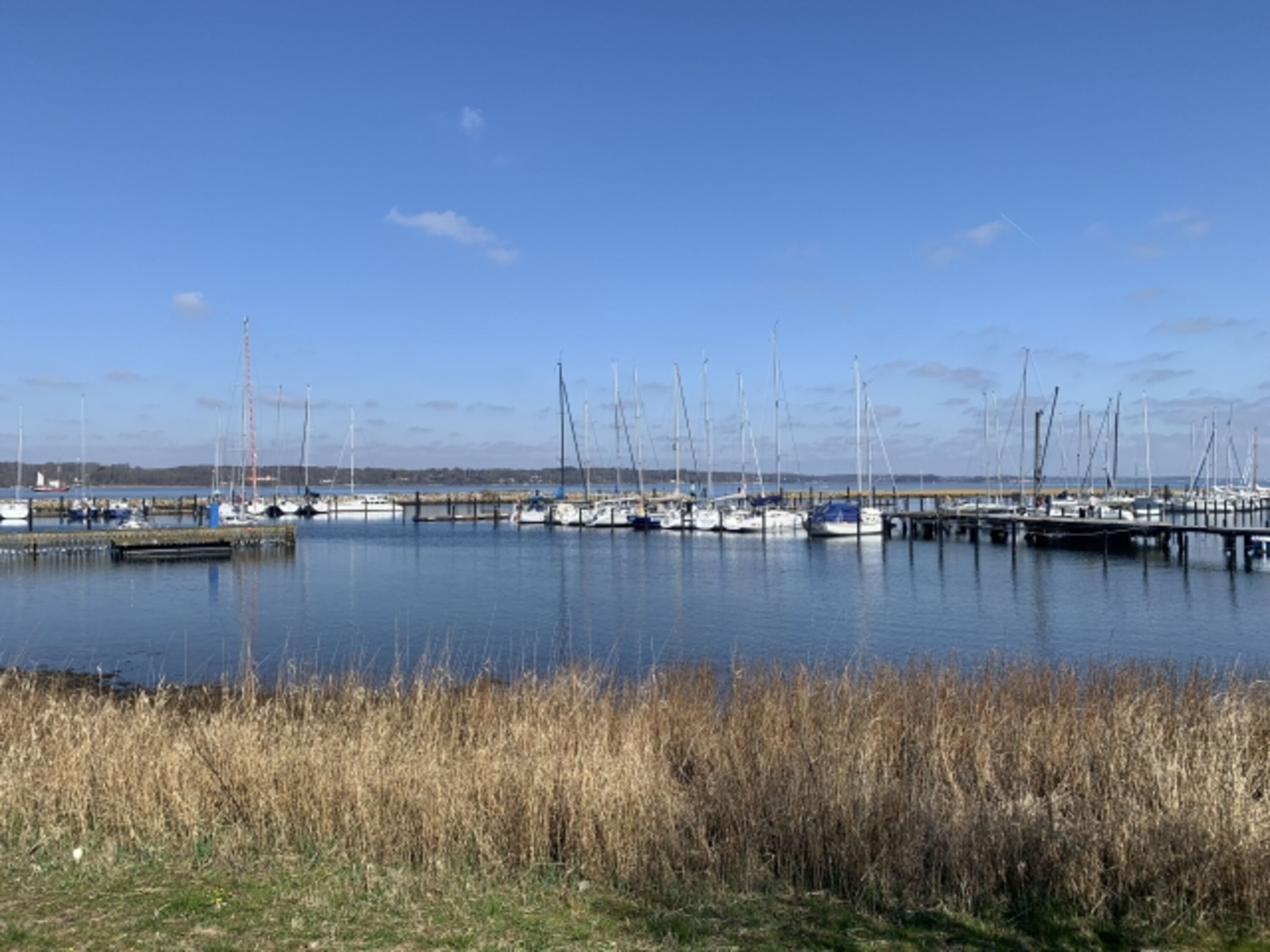 Hafen an der Yachtschule