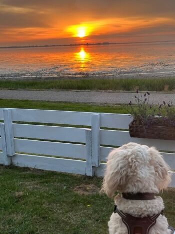 traumhafte Sonnenuntergänge