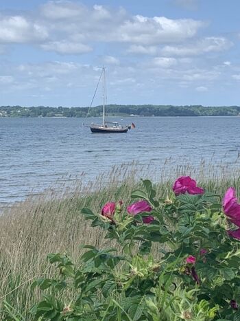 Tolle Umgebung nur wenige Schritte entfernt
