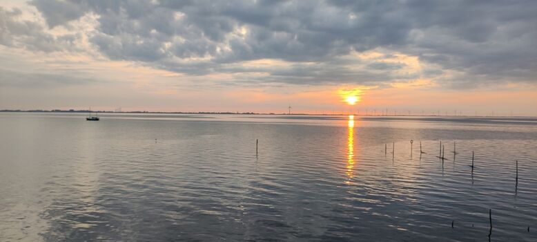 Sonnenuntergang am Deich