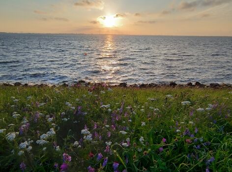 Sonnenuntergang am Deich