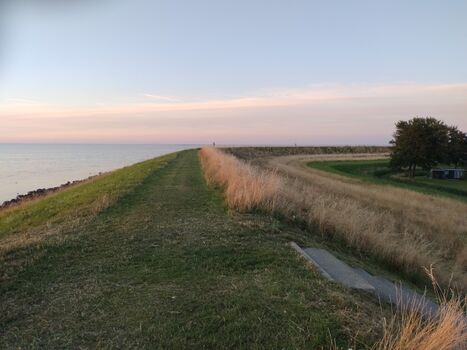 Der 150m entfernte Deich