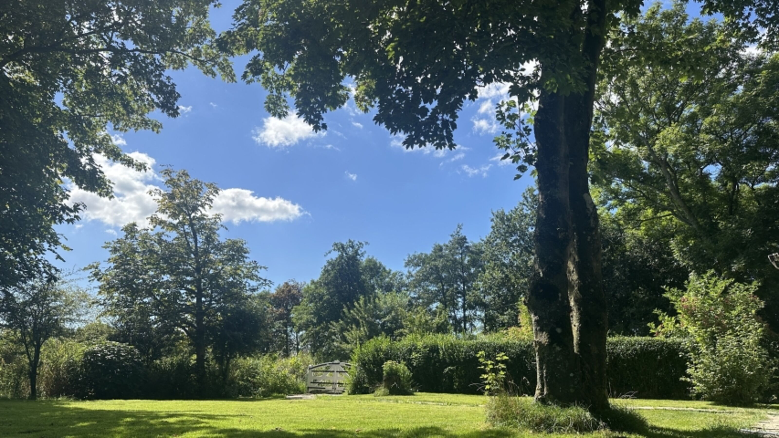der eigene Garten