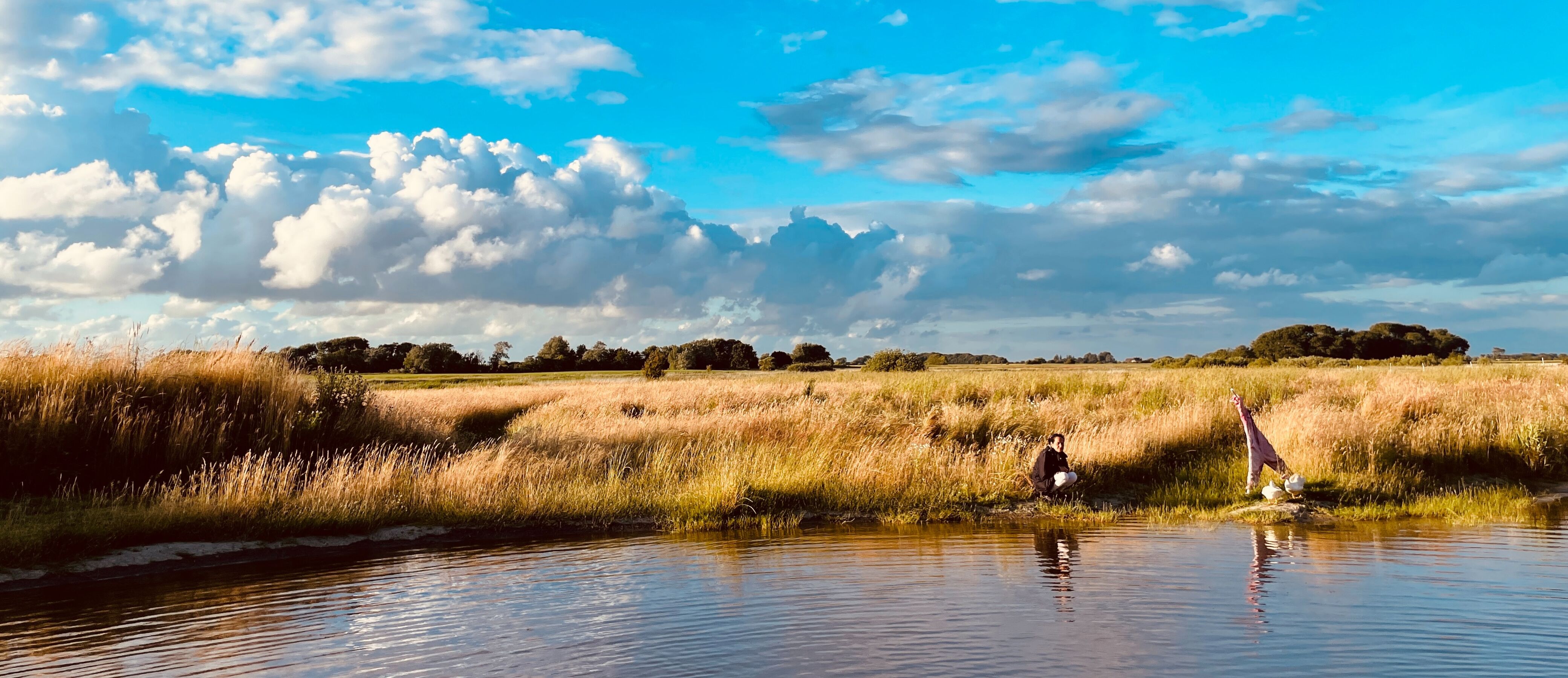 Teich auf der Wiese