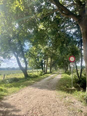 Spazierweg ab Wohnung 