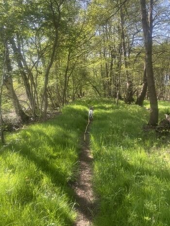 Spazierweg ab Wohnung  