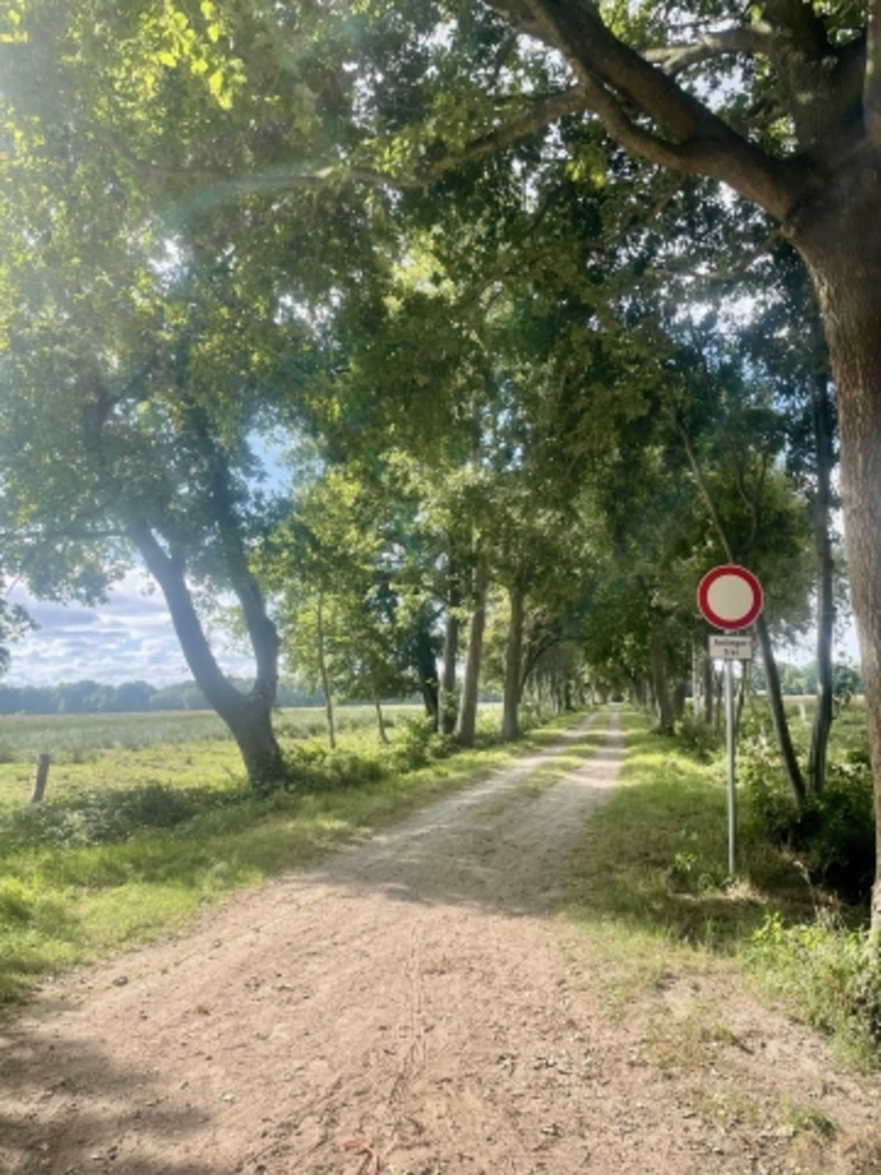 Spazierweg ab Wohnung 