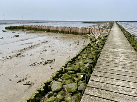 unendliche Weite des Wattenmeeres