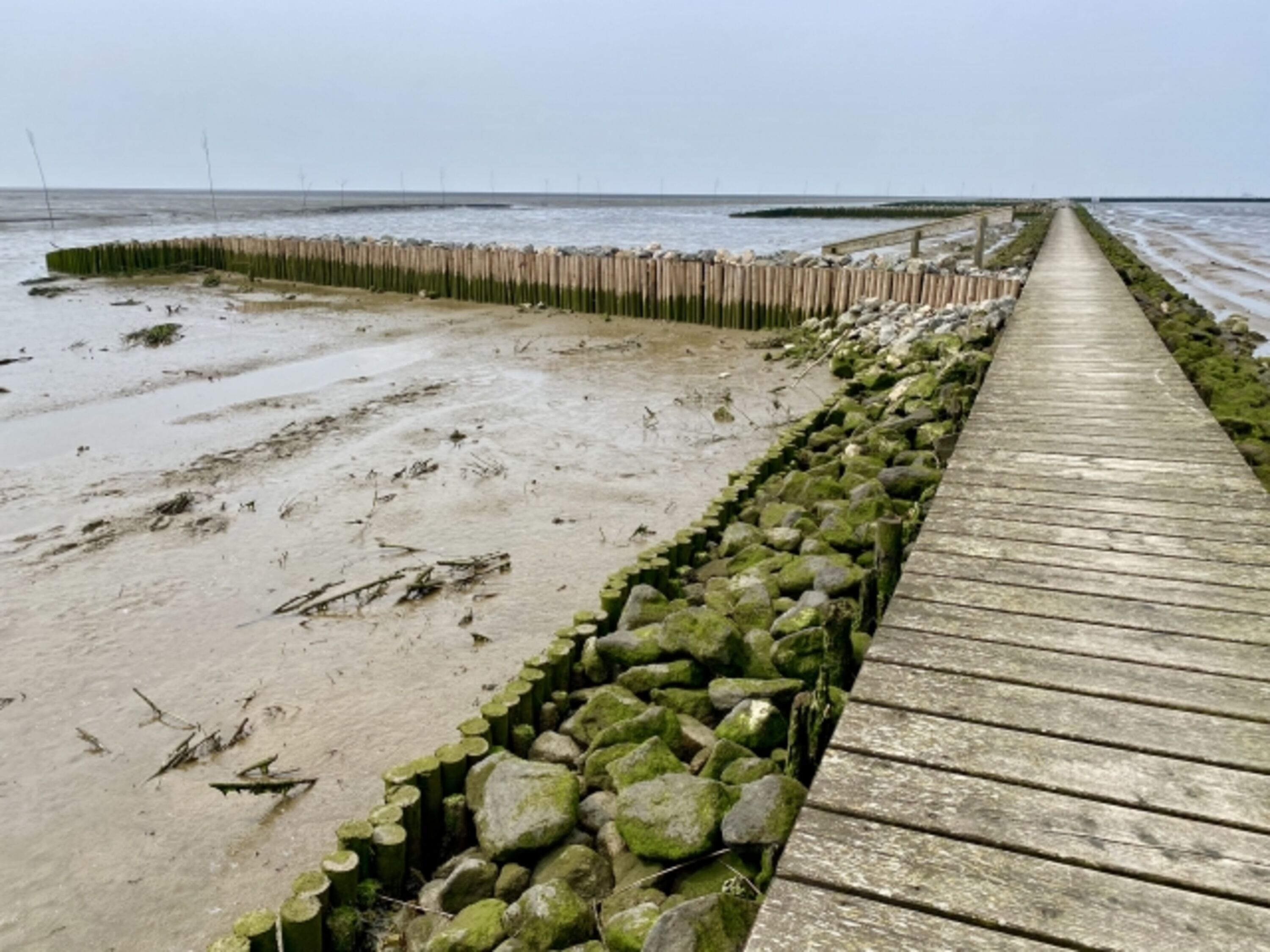 unendliche Weite des Wattenmeeres