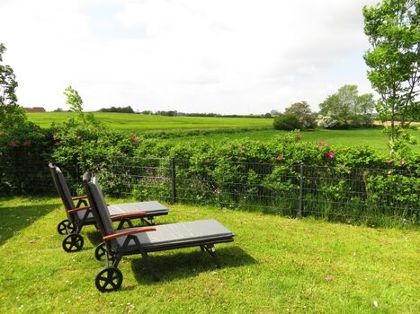 der Blick aus dem eingezäuntem Garten 