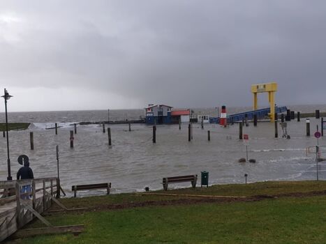 Hafen bei Hochwasser
