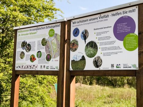 Unsere Liegeplatz bei den St.Arnualer (oder "Dealer", wie die Saarbrücker sagen) -Wiesen
