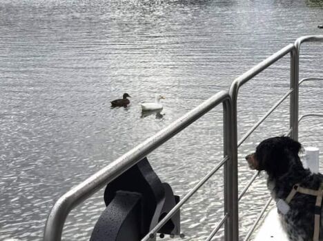 inklusive Enten-Kino :-)