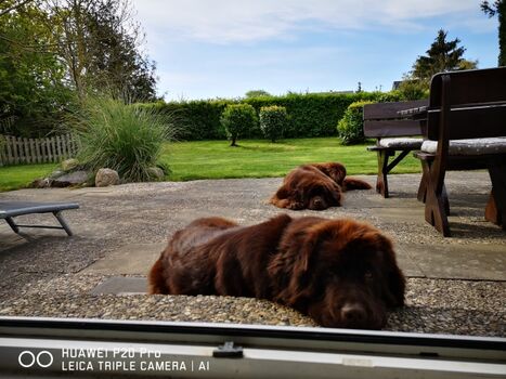 Aussicht aus dem Wohnzimmer