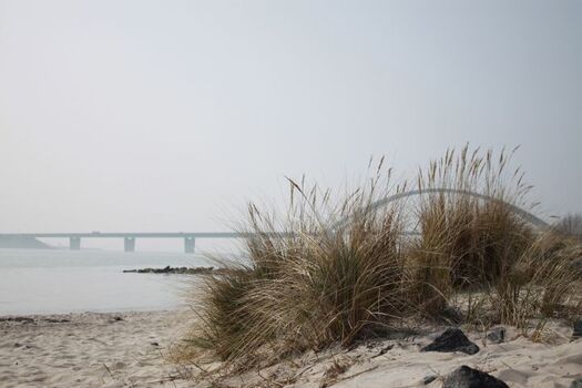 Strand Fehmarnsund