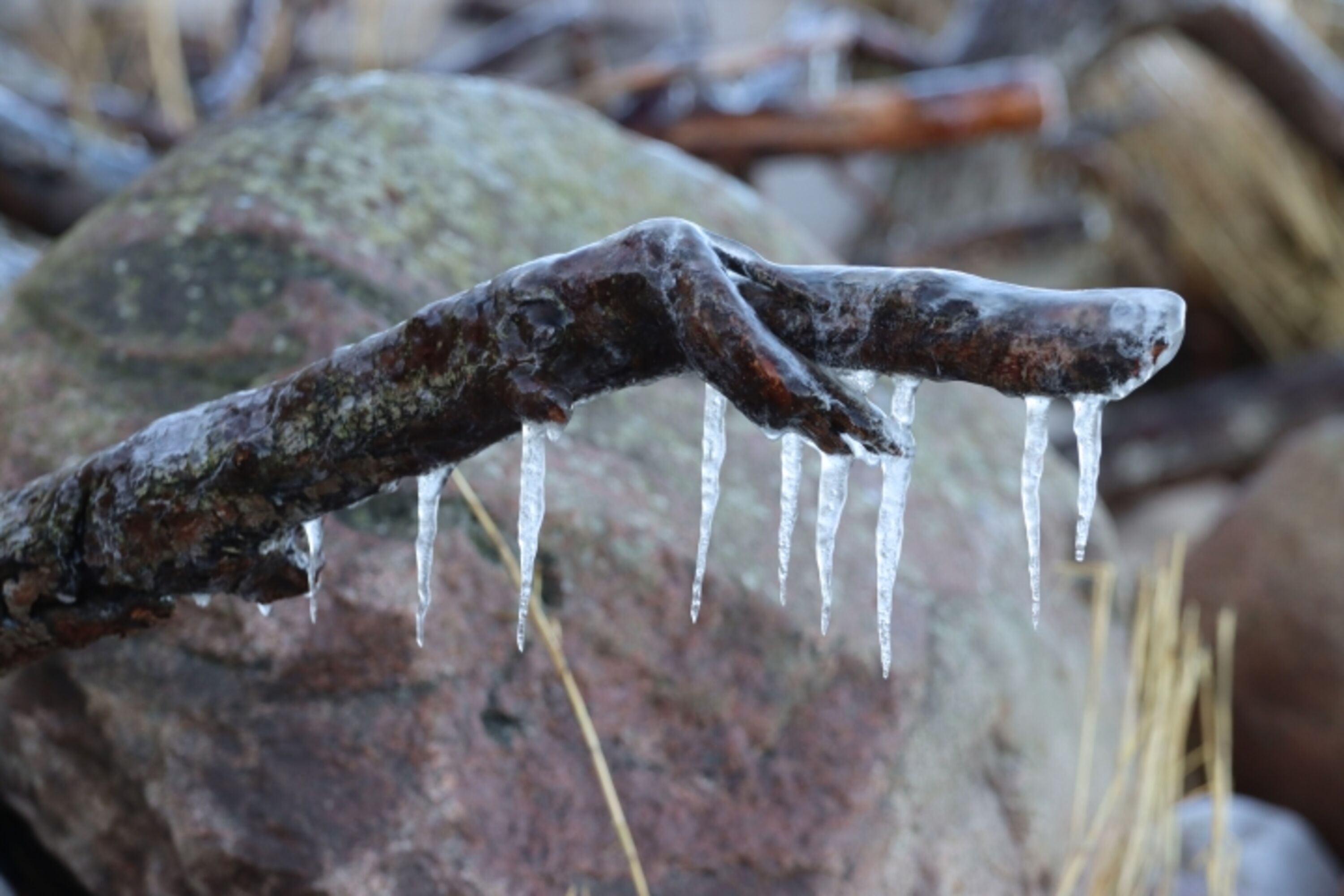 Fehmarn im Winter