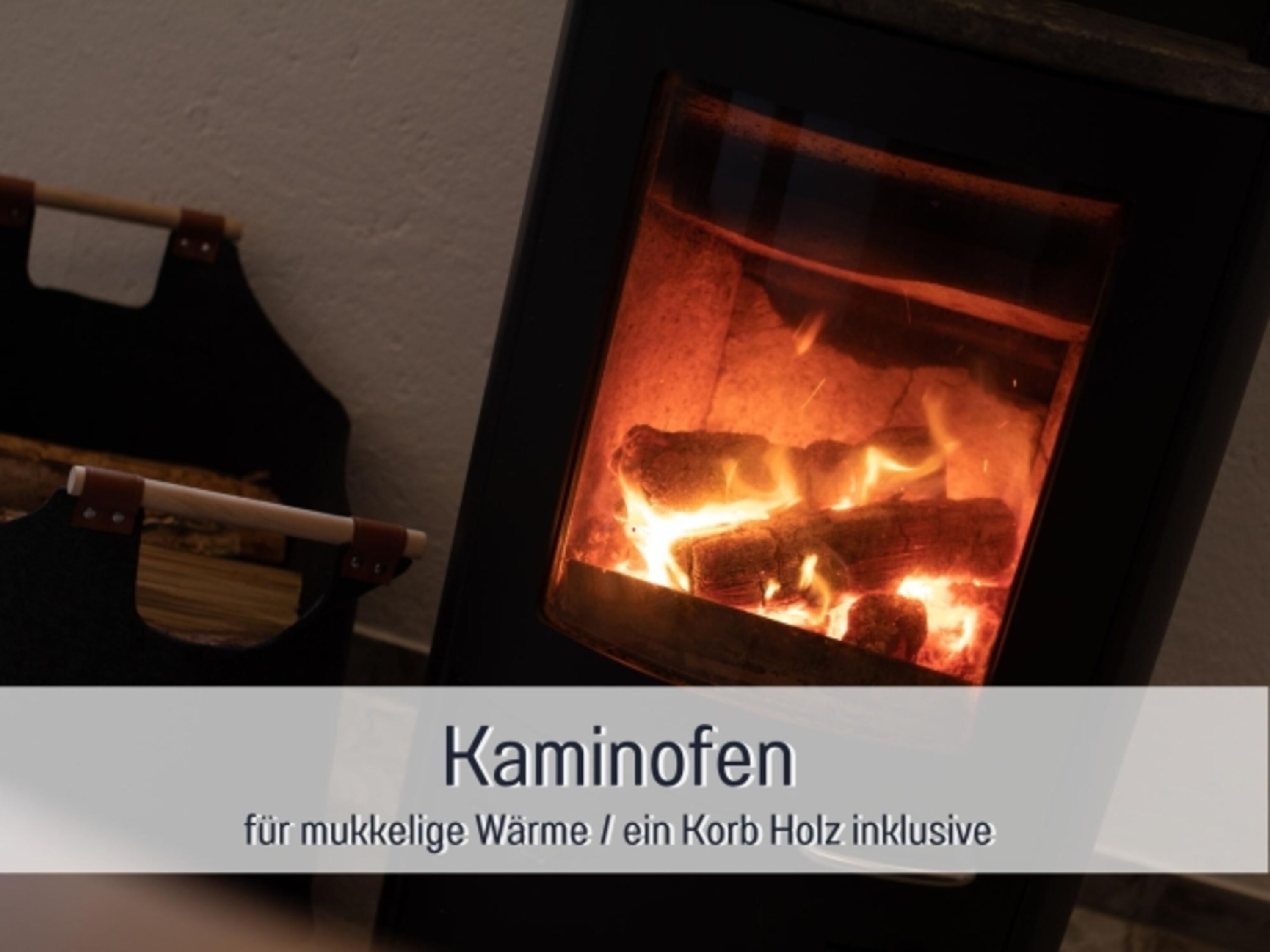 Kaminofen EG
