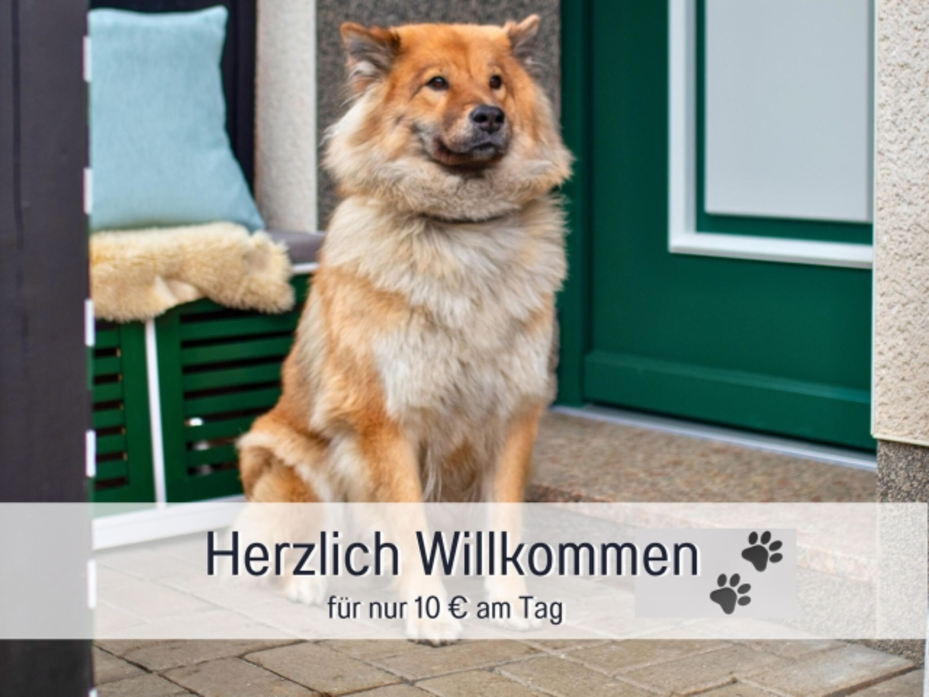 Bild 14