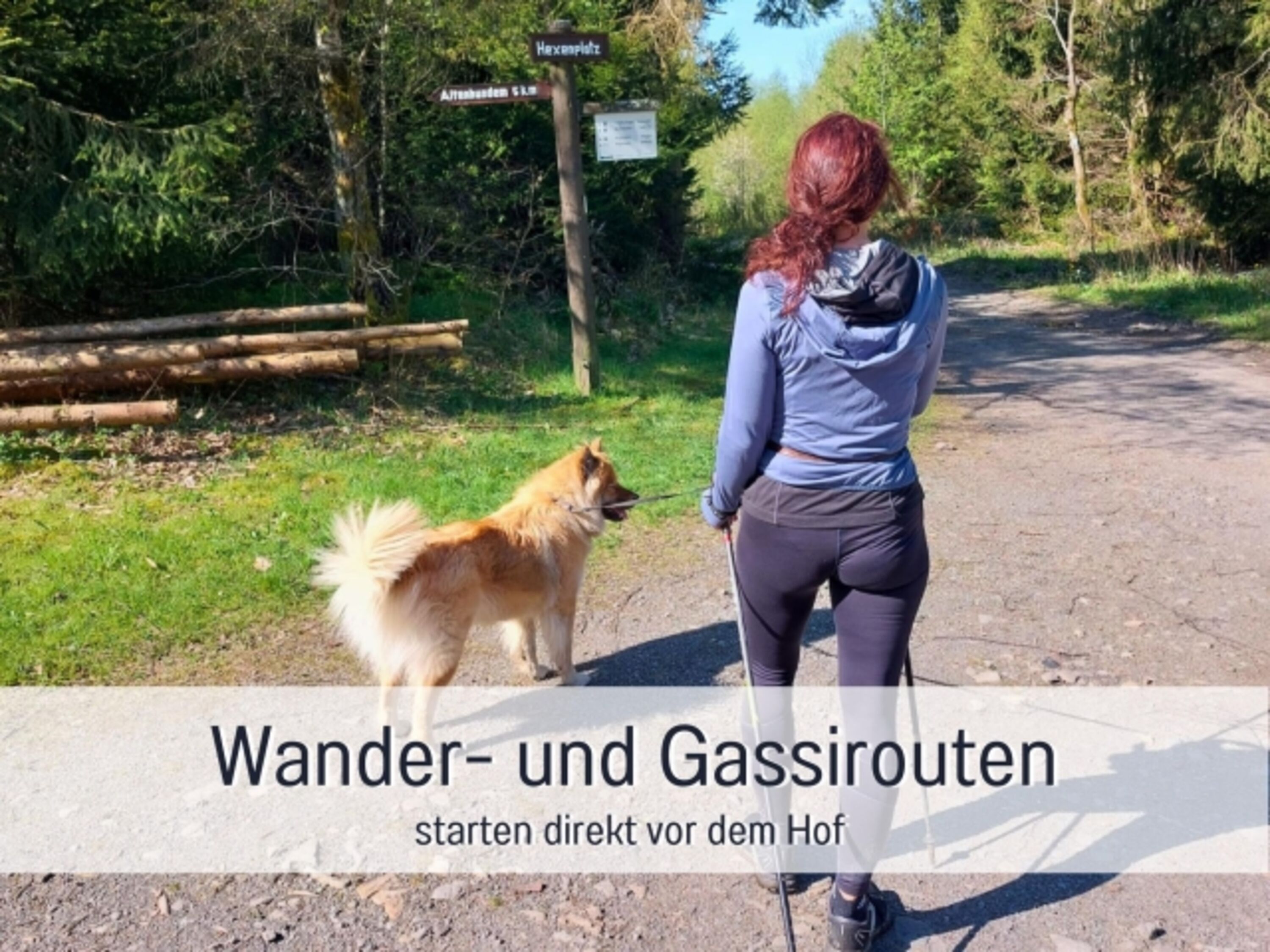 Hunderunde