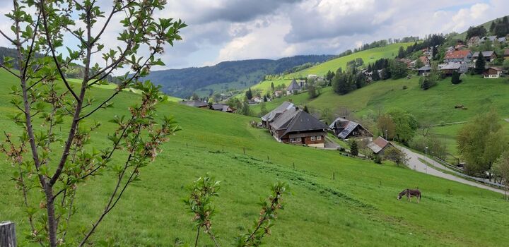 Blick aus Ihrer Wohnung
