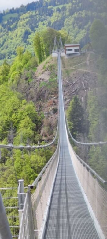 Hängebrücke, Black Forest Line